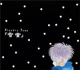 雪蛍