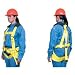 Lewis Manufacturing 418-18-1116: Fall Arrest Harnesses