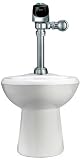 Sloan 20001101 N/A Ecos Toilet System with Sloan ECOS Electronic Dual-Flush Flushometer WETS-2000.1101