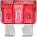 Littelfuse ATO10 Fuse