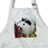 Cassie Peters Guinea Pig - Baby Guinea Pig 2 With Gold Bells photography by Angelandspot - Aprons