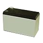 Mighty Mule FM150 Replacement Battery for GTO and Mighty Mule Gate Openers