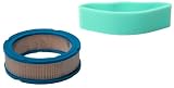 Briggs & Stratton Air Filter Cartridge/Pre-Cleaner 12.5 - 21 HP #5050H