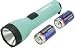 2D GLO LIGHT FLASHLIGHT (Garrity F500GST06H)