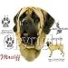 Mastiff Adult Sweatshirt