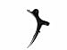 Sporting Goods : Proto SLG Ultralight Aluminum Trigger - Black