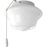Progress Lighting P2644-30 Schoolhouse Kit White
