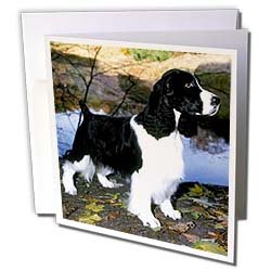 Dogs English Springer Spaniel - Black And White Springer Spaniel - Greeting Cards-6 Greeting Cards with envelopes On Sale