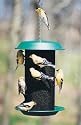 WOODLINK Magnum Thistle Feeder