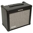 Dual 35 DFX 1x10" Guitar Combo Amplifier