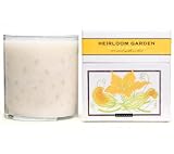 Paddywax - Heirloom Garden Squash Blossom