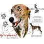 Greyhound Adult Sweatshirt