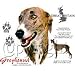 Greyhound Womens Scoop Neck T-Shirt