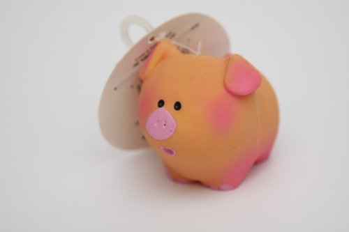Baby Pig Squeak Dog Toy