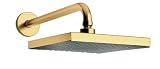 La Toscana 89PW750 Lady Square Shower Head, Brushed Nickel
