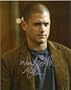 Wentworth Miller PRISON BREAK hand signed 8x10
