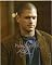 Wentworth Miller PRISON BREAK hand signed 8x10