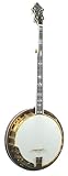 Recording King Artist Deluxe Resonator Banjo, Sunburst Finish