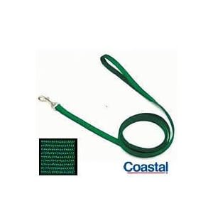 Coastal Pet Double-Ply Nylon Dog Leash Training Lead (Hunter Green, 6 ft. L x 1 Inch W)