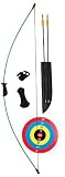 Bear Archery Crusader Bow Set (Right Hand/Left Hand) Picture
