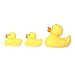 Bath Ducks