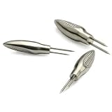 RSVP Endurance Corn Picks, Set of 8