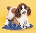 Plush Ogilvy Springer Spaniel 16