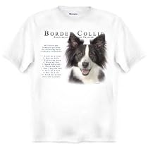 Border Collie Human Trainer Adult T Shirt