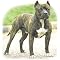 Pit Bull Adult T-Shirt