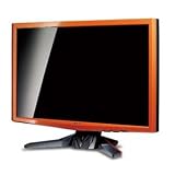 Acer Computer - Acer G24  24 " LCD