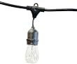 Table in a Bag SL4815 Aspen String Lights with Clear Bulbs, 48-Feet, 15 Lights, Clear