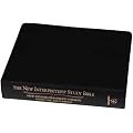 New Interpreter's Study Bible: NRSV with Apocrypha