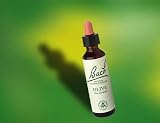 Nelson Bach Olive Flower Remedy - 20 ml
