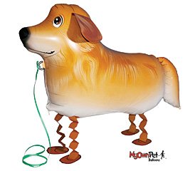 Golden Retriever My Own Pet Collection 26