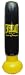 Everlast Youth Inflatable Training Bag