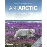 AntArctic (English and Spanish Edition)