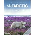 AntArctic, Paperback