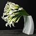 Lilies - David Beahm New York