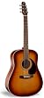 Seagull Coastline Burst Gloss Top Quantum Acoustic/Electric Guitar