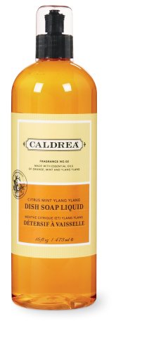 Caldrea Dish Soap Liquid, Citrus Mint Ylang Ylang, 16-Ounce Bottles (Pack of 6) by Caldrea