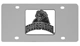 Bergamot Pittsburgh Panthers License Plate