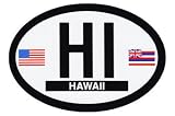 Hawaii - Oval decal