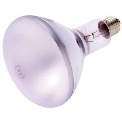 Verilux Natural Spectrum 60 Watt Frosted Light Bulb
