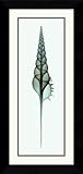 IMAGE OF Tibia (blue) Framed Art Print by Steven N. Meyers, 14.37 in. x 30.37 in. Framed