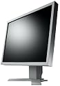 Eizo S2100 53,3 cm (21 Zoll) TFT Monitor wei&szlig;/beige DVI (Kontrast 1000:1, 8 Ms Reaktionszeit)