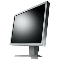 Eizo S2100 53,3 cm (21 Zoll) TFT Monitor wei�/beige DVI (Kontrast 1000:1, 8 Ms Reaktionszeit)