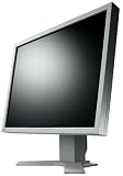 Eizo S2100 53,3 cm (21 Zoll) TFT Monitor wei�/beige DVI (Kontrast 1000:1, 8 Ms Reaktionszeit)