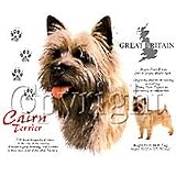 Cairn Terrier Adult Sweatshirt