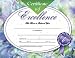 CERTIFICATES OF EXCELLENCE 30 PK 8. 5 X 11 INKJET LASER