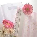 Baby's First Book - Pink Stripe Image